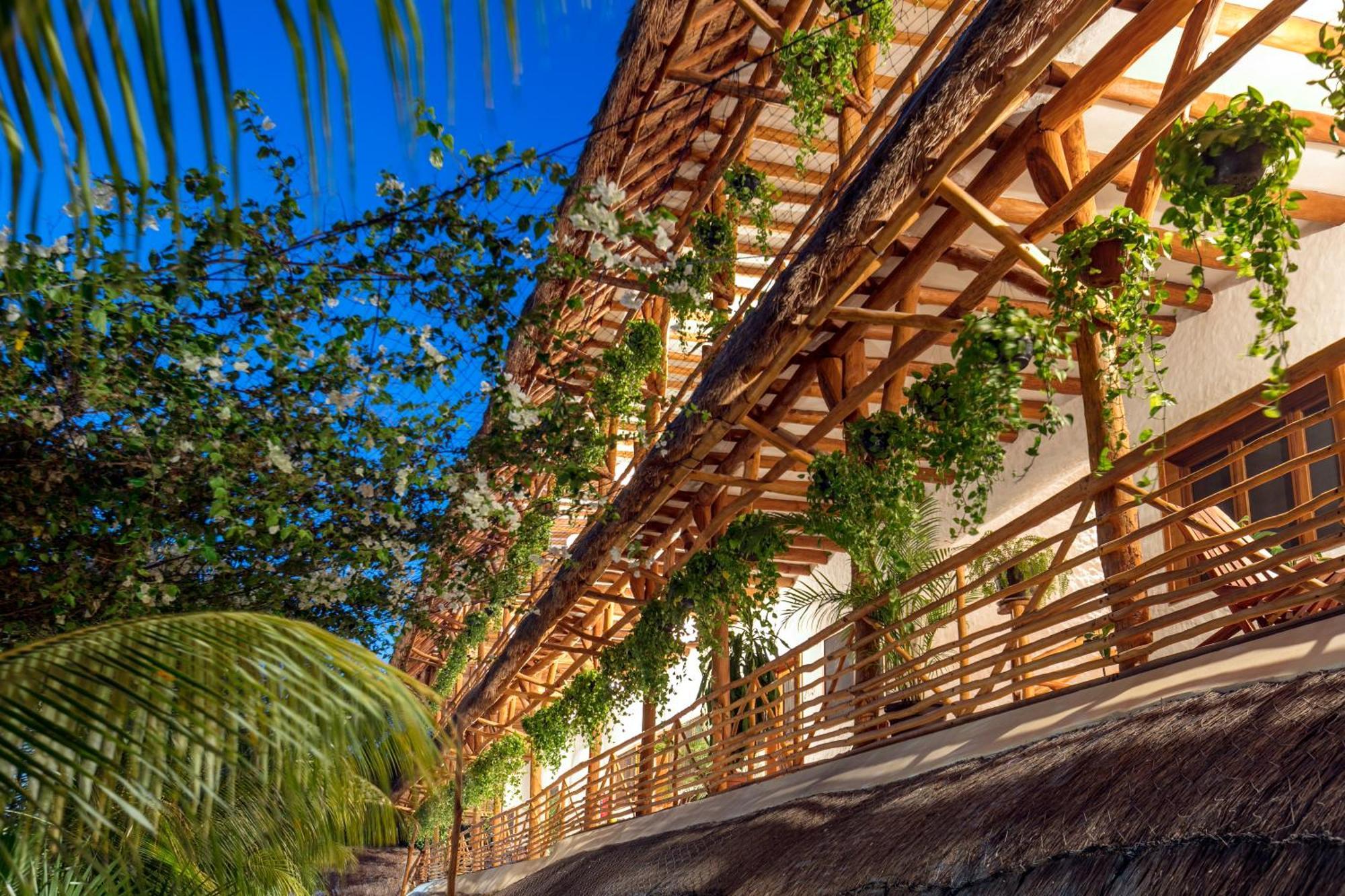 La Palma Holbox酒店 外观 照片